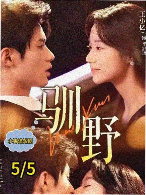 继承之战第四季 国外高分剧集